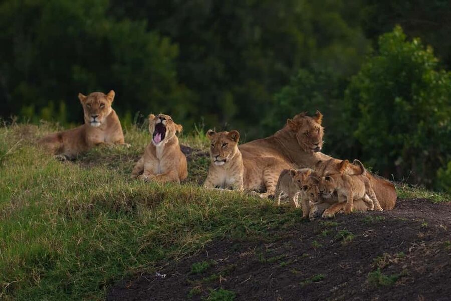 03 DAYS EXCITING MASAI MARA SAFARI - The long road from Nairobi to the Mara