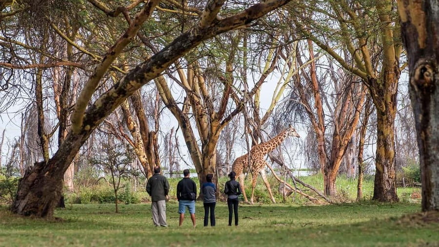 06 Days Aberdare Naivasha Mara Experience - Day 3: Entering the Masai Mara