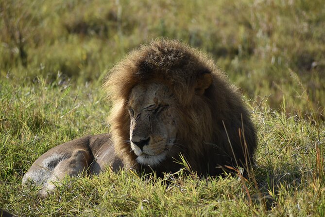 06 Days Kenya LuxuryLodge Safari - Key points to know before booking
