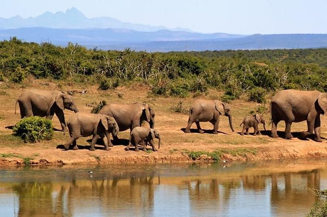 1 Day Amboseli Classic Safari Tour package,bruno safaris Kenya - Leaving Nairobi for a long safari day