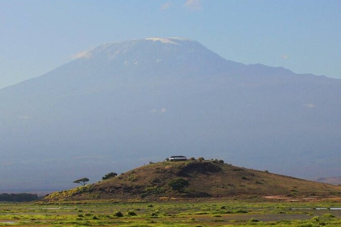 1-Day Amboseli Safari - What the guide can add to your day