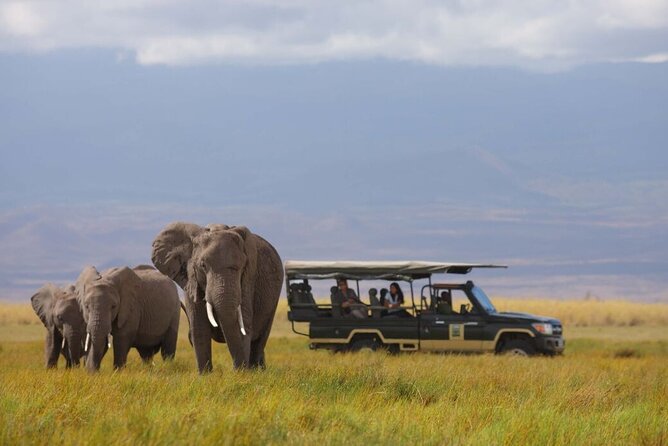 1-Day Amboseli Safari - The 5:00 am departure and the road to Amboseli