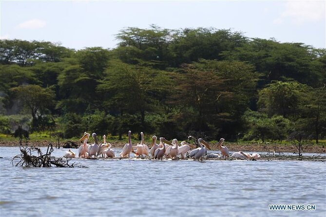 1 Day Bike Tour to Hell’s Gate And Lake Naivasha - A short Maasai community visit