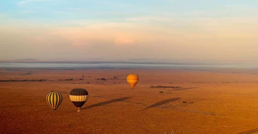 1 Day Masai Mara Game Drive - What the $190 price really covers