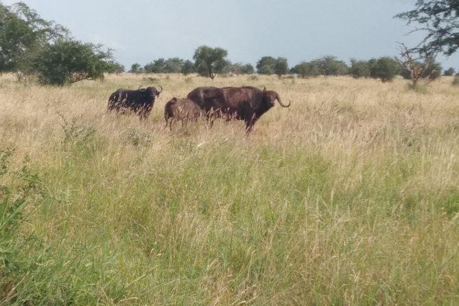 1 day Shimba hills - Why Shimba Hills makes a good day trip