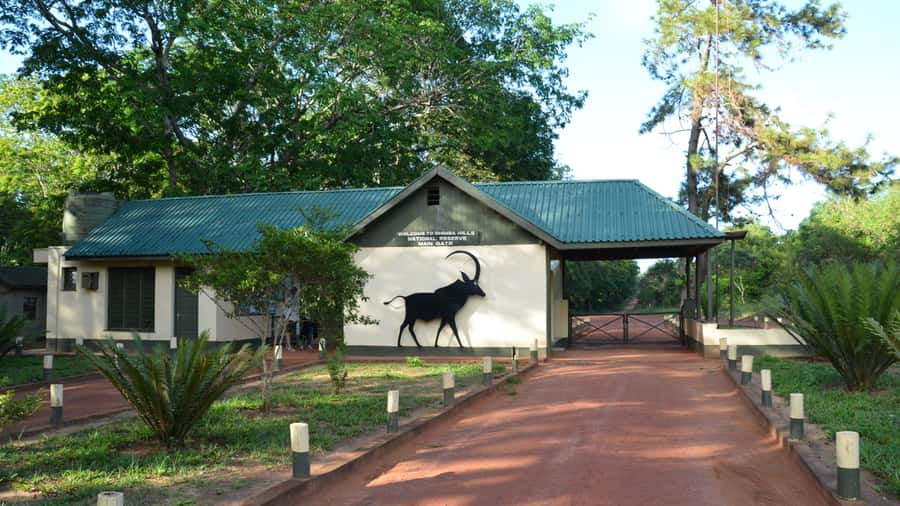 1 day Shimba Hills Tour - Key points to know before booking