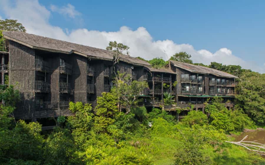 1 day Shimba Hills Tour - Why Shimba Hills feels different from a classic safari
