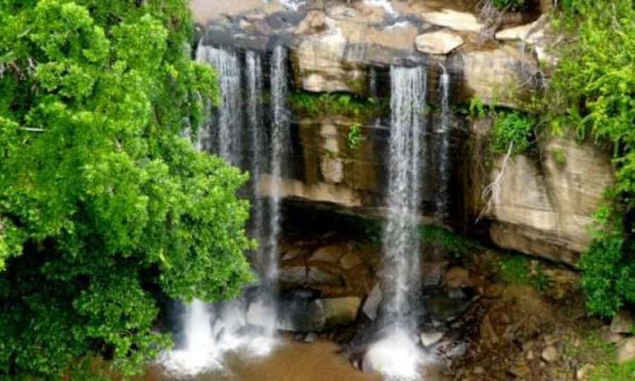 1 day Shimba Hills Tour - The 7:00 am pickup from Diani or Mombasa