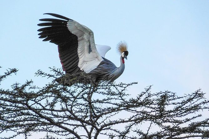1 Day Tour Nairobi National Park,Giraffe Center&Karen Blixen - Stepping into Karen Blixen’s former home