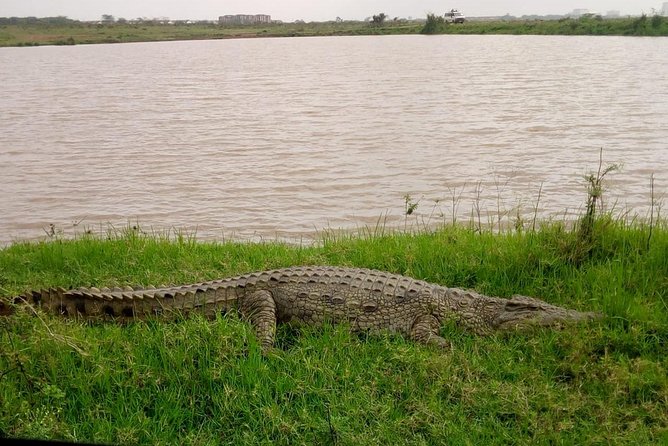 1 Day Tour Nairobi National Park,Giraffe Center&Karen Blixen - What the $46 price really covers