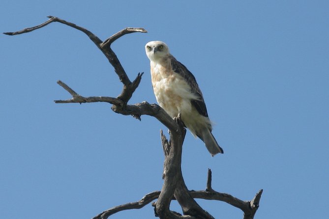1 Day tour of Lake Nakuru National Park - What the guide adds to the day