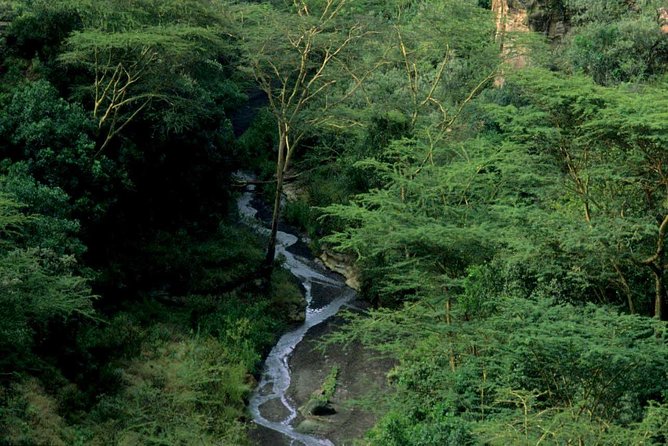 1 Day trip to Hells Gate and Lake Naivasha From Nairobi - Why Hell’s Gate Makes a Good Day Trip From Nairobi