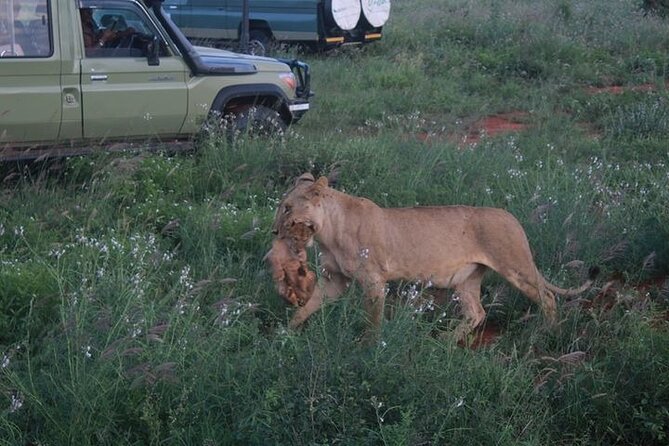 1 Day Tsavo East Safari Discovery of Kenya's Wildlife - Breakfast near the park and entry through Bachuma Gate