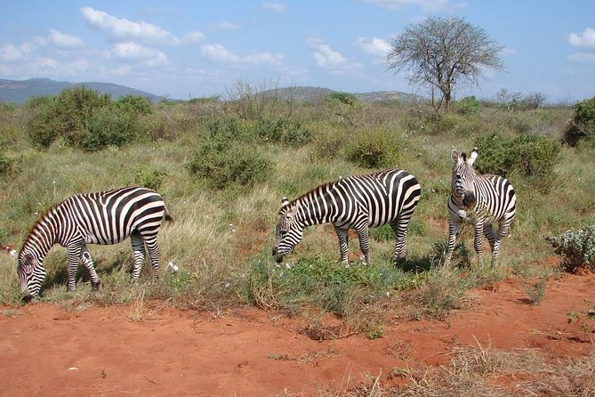 1-Day Tsavo East Safari From Mombasa - Key points to know before booking