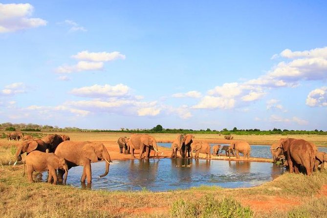 1-Day Tsavo East Safari From Mombasa - Entering Tsavo East for the game drives