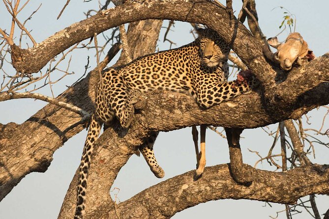 1 Day Tsavo East Safari ( Minimum 2 Pax) - Entering Tsavo East Through Bachuma Gate
