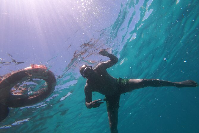 1 Day Wasini Dolphin Tour - Boarding the dhow near Wasini Island