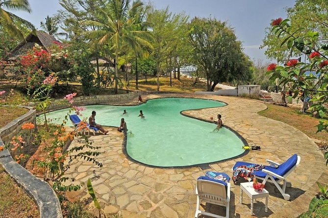 1 Day Wasini Dolphin Tour - Is $150 a fair price?