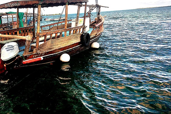 1 day wasini island ( Kisite Marine park) - Five things to know before booking