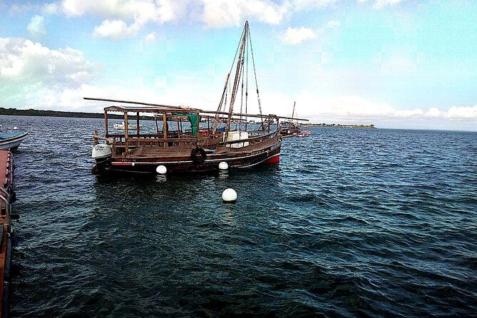 1 day wasini island ( Kisite Marine park) - The two-hour road journey to Kisite-Mpunguti