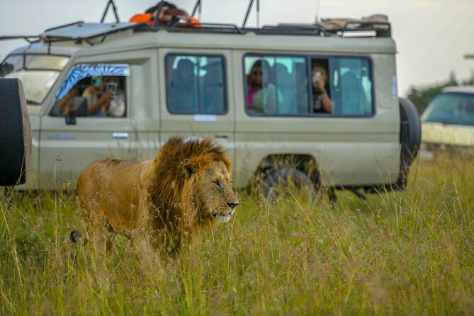 10 Day Bush and Beach Safari in Nairobi - Key points before you book