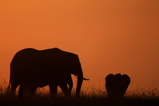 10 -Days Best of Kenya and Tanzania Classic Safari - Days 4 and 5: Amboseli beneath Mount Kilimanjaro