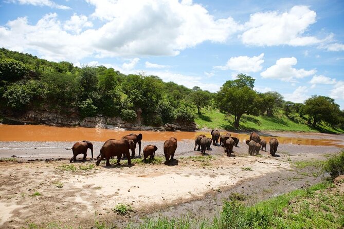 11-Day Serengeti, Maasai Mara, Tarangire, Amboseli Park - Starting in Nairobi and reaching Maasai Mara