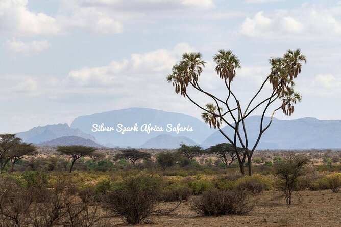 11-Day Serengeti, Maasai Mara, Tarangire, Amboseli Park - Two days in the Maasai Mara