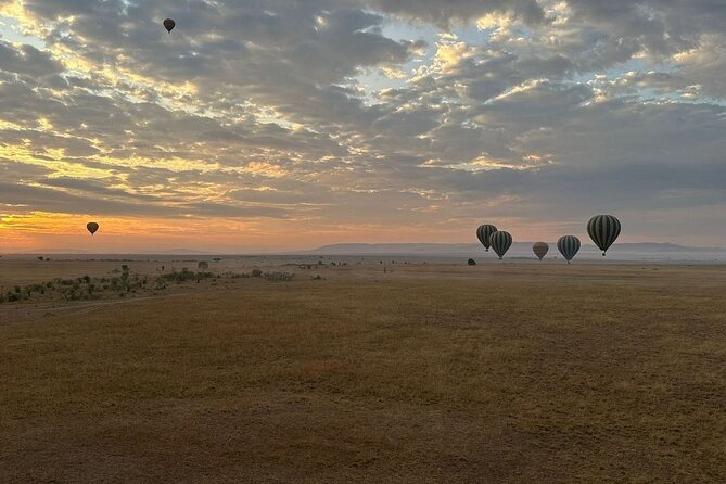 11-Day Wildebeest Migration Serengeti, Mara, Ngorongoro Crater. - What This Safari Really Covers