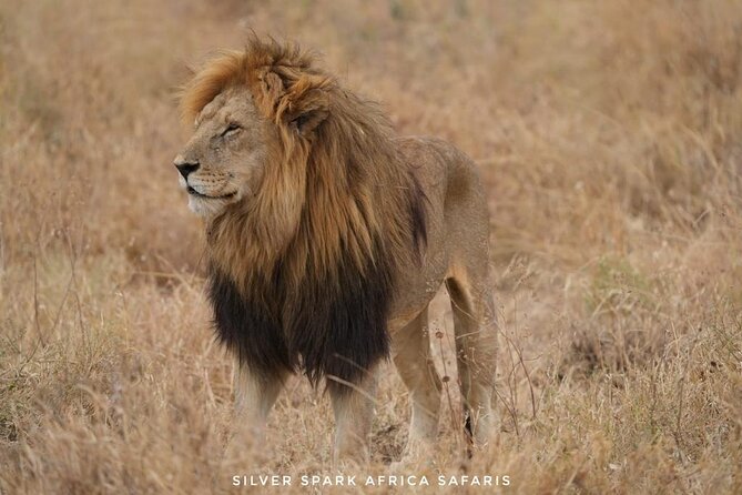11-Day Wildebeest Migration Serengeti, Mara, Ngorongoro Crater. - Day 1: Tarangire’s Baobabs and Elephant Herds