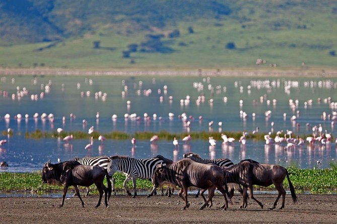 11-Days Best of Kenya & Tanzania Big 5 Safari on a 4x4 Jeep - Hell’s Gate and an evening on Lake Naivasha