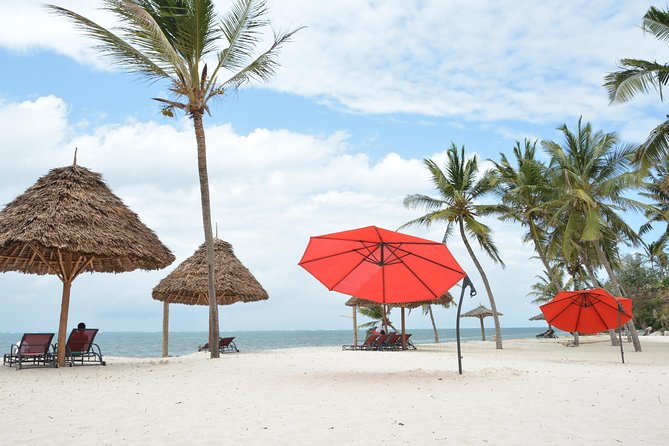 11-Days Kenya Zanzibar Safari - Day 3: Mzima Springs and the road to Amboseli