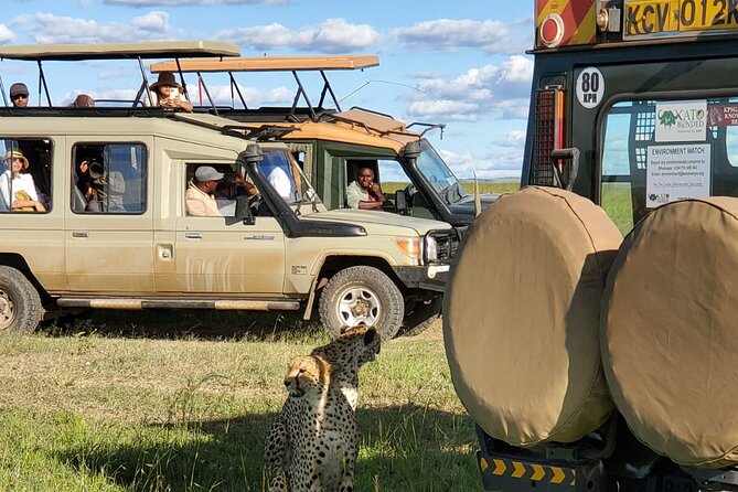 11 Days Private Tour to Explore Amboseli and Samburu - Day 1: The long road north to Samburu