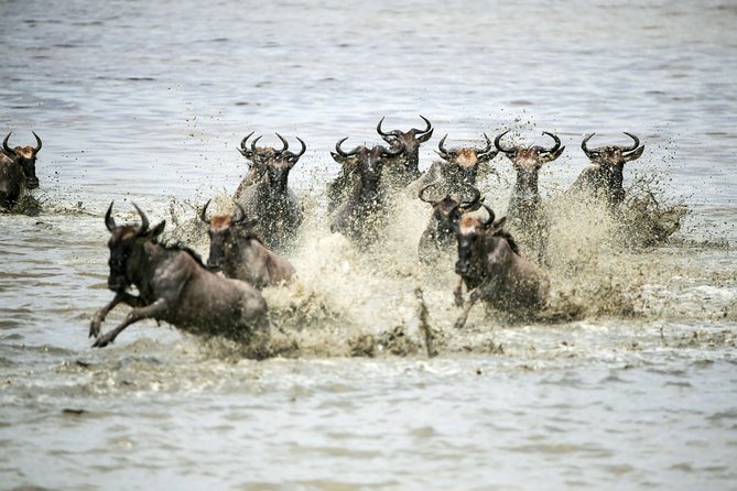 12 Days Best Of Kenya and Tanzania Safari - Luxury - Days 10 and 11 in Amboseli: elephants and Kilimanjaro views