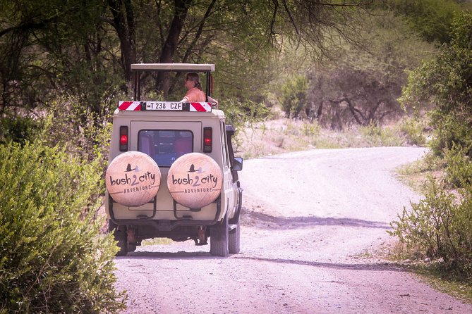 12 Days Best Of Kenya and Tanzania Safari - Luxury - Day 2 at Lake Naivasha: boats before big cats