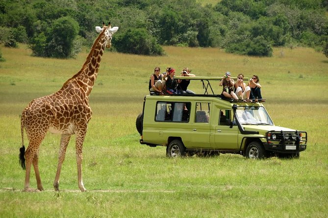 12-Days Best Of Kenya Big Five Wildlife Private Safari - Samburu: a strong northern opening