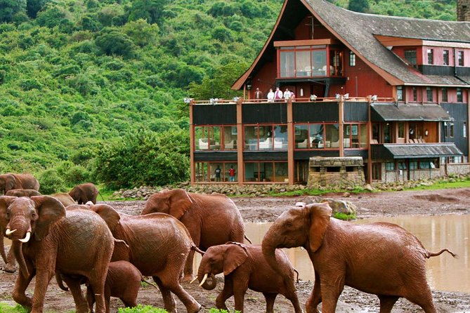 12-Days Best Of Kenya Big Five Wildlife Private Safari - Hell’s Gate lets you leave the vehicle