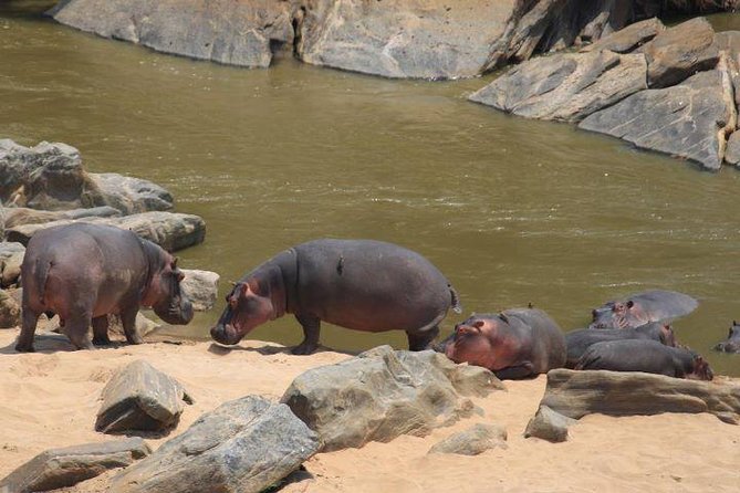 12 Days Kenya and Tanzania Budget Private Safari from Nairobi - What $3,708 includes, and what it really buys
