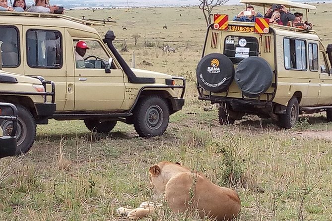 12 Days Kenya and Tanzania Budget Private Safari from Nairobi - Days 7 and 8: The Serengeti’s open country