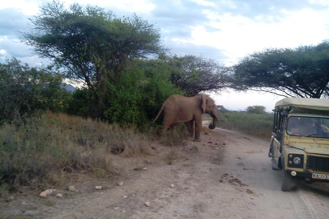 12 Days Kenya and Tanzania Budget Private Safari from Nairobi - Day 1: Start gently in Nairobi