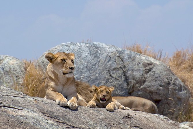 12 Days Kenya & Tanzania Safari Private Lodge Safari from Nairobi - Ngorongoro Crater and a night on the rim