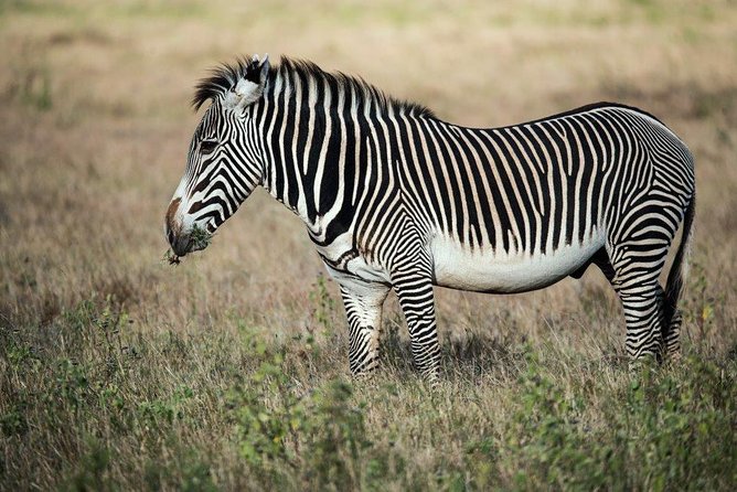 12 Days Kenya Tanzania wildlife Joining Tour - Day 4: Lake Nakuru and the Rift Valley