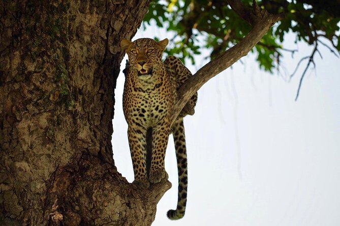 13-Day Private Wildlife Safari Tour of Kenya and Tanzania - Crossing into Tanzania through Isebania