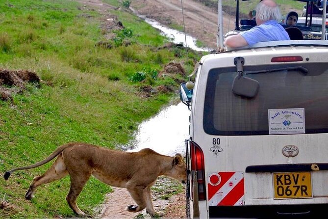 13-Day Private Wildlife Safari Tour of Kenya and Tanzania - Olduvai Gorge: a pause for human origins
