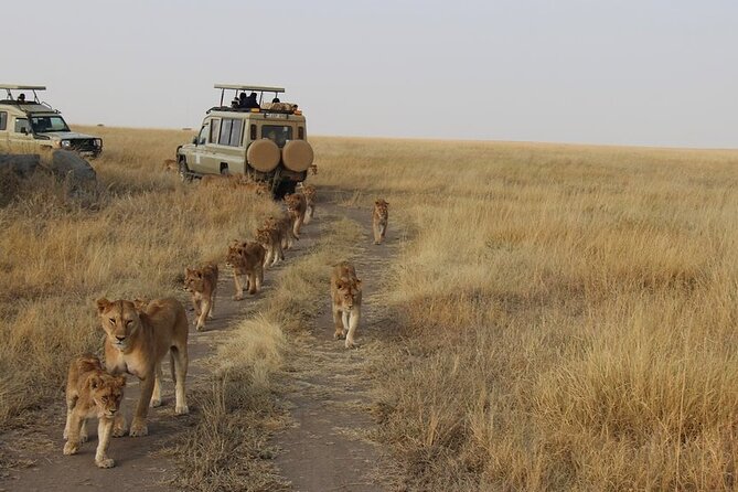 13-Day Private Wildlife Safari Tour of Kenya and Tanzania - Samburu: dry country, river wildlife, and special species