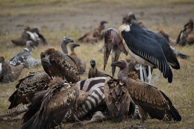 13 Days Best of Kenya and Tanzania BudgetSafari - Days 7 and 8: Lake Manyara, Olduvai Gorge, and the Serengeti