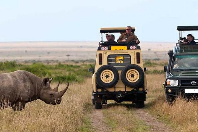 14-Days Kenya and Tanzania Camping Safari from Nairobi - A Big Two-Country Safari For One Price