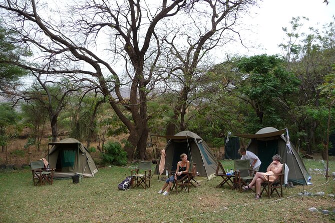 14-Days Kenya and Tanzania Camping Safari from Nairobi - What The Guides And Operator Add