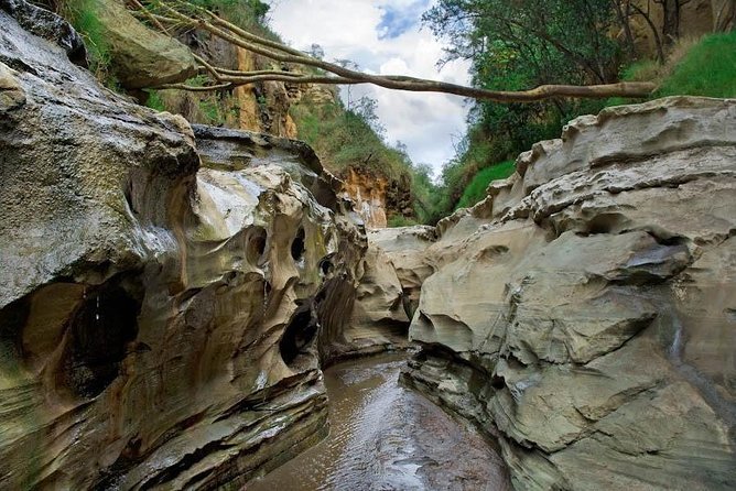 15 Days Classic Kenya & Tanzania + Zanzibar Beach Holiday - Three nights in the Maasai Mara