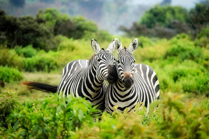 15 Days Classic Kenya & Tanzania + Zanzibar Beach Holiday - Ngorongoro Crater from rim to floor